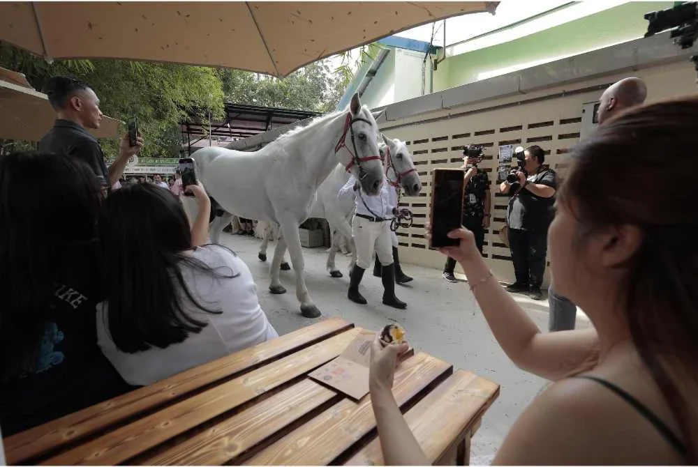 Orang ramai boleh melihat secara dekat kuda yang menjadi sebahagian tarikan di ISM.