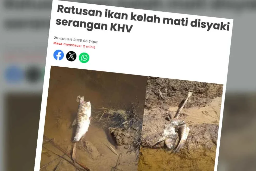 Laporan Sinar Harian.