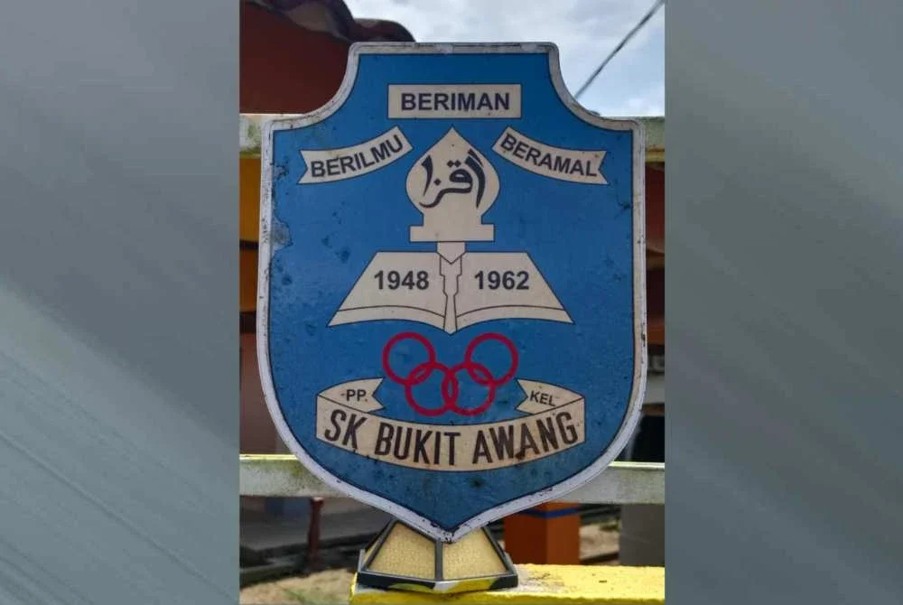 SK Bukit Awang bermula sebagai Sekolah Rakyat Bukit Awang sekitar tahun 1948.