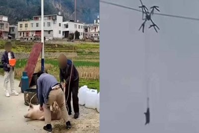 
Klip video memaparkan insiden itu turut menjadi tular. 