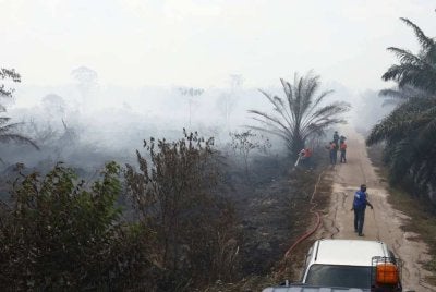 Operasi pemadaman tanah gambut di Batu 13/14, Air Itam memasuki hari kesembilan pada Ahad. Foto JBPM Johor