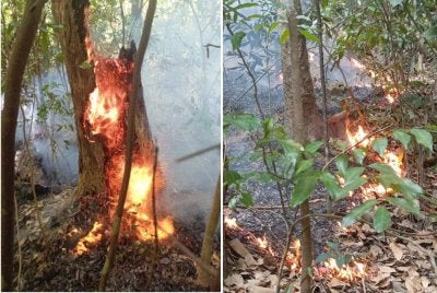 Kebakaran hutan seluas kira-kira 0.4 hektar yang berlaku di kawasan kaki Bukit Bendera, Jalan Air Itam pada petang Ahad.