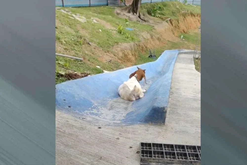Bobby suka bermain gelongsor disediakan di kawasan terbabit.