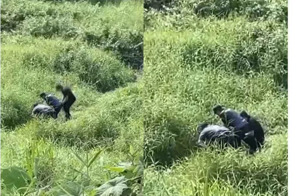 Video tular mengenai penemuan rangka manusia dipercayai wanita di kawasan parit dan belukar berhampiran Flat Damai Taha, Mentakab.