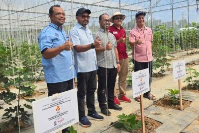 (Dari kanan) Yang Dipertua DPMM Selangor, Mohd Azli Md Yusof bergambar bersama barisan tetamu kehormat pada Sesi Townhall DPMM Selangor pada Ahad.