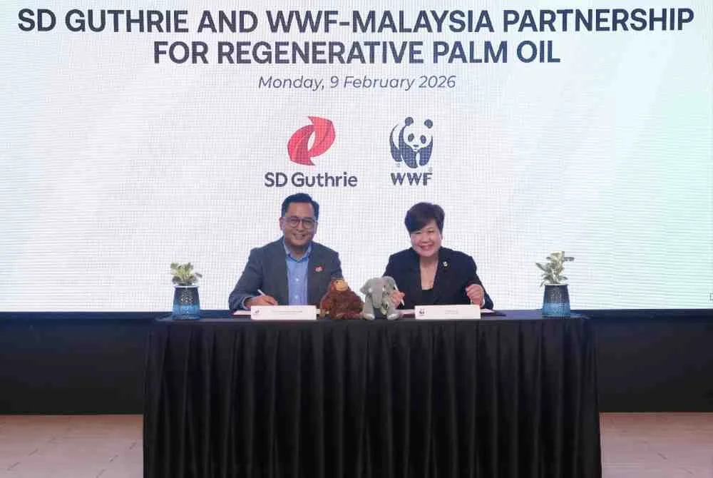 WWF-Malaysia dan SD Guthrie jalin kerjasama transformatif menerajui program perintis pertanian regeneratif selama lima tahun bagi sektor minyak sawit di Sabah.