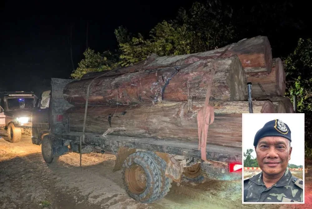 Kayu balak yang dimuatkan dalam sebuah lori - Gambar kecil (Ahmad Radzi)