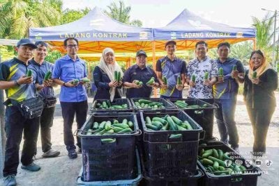 Faisal Iswardi (lima dari kanan) bergambar semasa berkunjung ke kebun timun milik Mohamad Khairul.