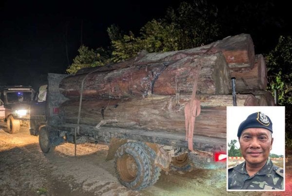 Kayu balak yang dimuatkan dalam sebuah lori - Gambar kecil (Ahmad Radzi)