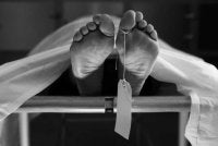 Seorang lelaki maut selepas dipercayai terjatuh ke dalam kolam ikan miliknya ketika menjala ikan. Gambar hiasan
