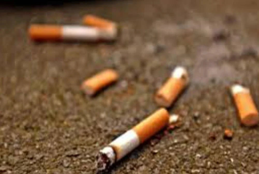 Pemandu peribadi, pelajar tahfiz pertama di Pahang didakwa buang sampah di tempat awam