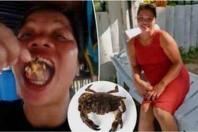 Ketam berkenaan dilaporkan mengandungi racun yang boleh membunuh. Foto Agensi