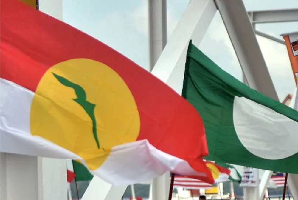 Cadangan kerjasama antara UMNO dan Pas di Melaka pada PRN akan datang seperti disuarakan Ketua Pemuda UMNO mungkin sukar dilaksanakan kerana pandangan itu bersifat peribadi.