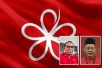 Zainol Fadzi (kiri), Ahmad