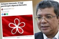 Saifuddin berkata, parti politik yang matang tidak harus dipimpin oleh ketakutan atau ketaksuban untuk mengekalkan kedudukan.