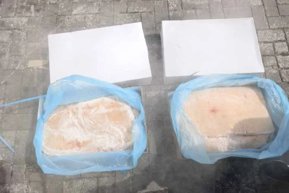 Antara yang dirampas menerusi pemeriksaan dijalankan.