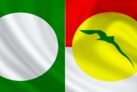 Pandangan Ketua Pemuda UMNO tentang kerjasama antara UMNO dengan Pas mendapat perhatian pimpinan tertinggi Pas.