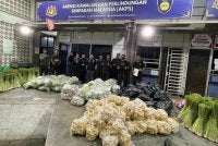 Pelbagai barangan pertanian cuba diseludup dari Thailand disita.