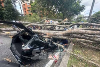 Sebuah kenderaan dihempap pokok tumbang di Persiaran Tun Arshad Ayub, Seksyen 7, Shah Alam pada Isnin.