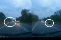 Tangkap layar video yang menunjukkan mangsa terjatuh dan dipercayai terlanggar sebuah kenderaan dari arah hadapan.