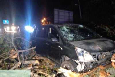 Dua kenderaan dihempap pokok tumbang di Jalan Seremban-Tampin pada Selasa. Foto Bomba