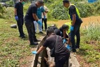 Satu mayat wanita tanpa identiti ditemui di dalam longkang kecil berhampiran persimpangan lampu isyarat Kampung Tengah, Segamat pada Jumaat. - FOTO: PDRM