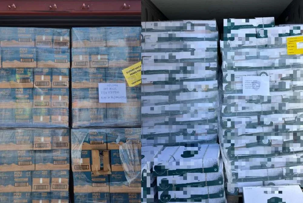 Taktik sindiket cuba menyeludup masuk hasilan haiwan tanpa permit import sah bernilai RM1.9 juta digagalkan di Pusat Pemeriksaan Kontena CFS 4, Pelabuhan Klang Barat pada Jumaat.