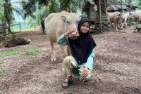 Che Tam rapat dengan haiwan ternakan sejak kecil.