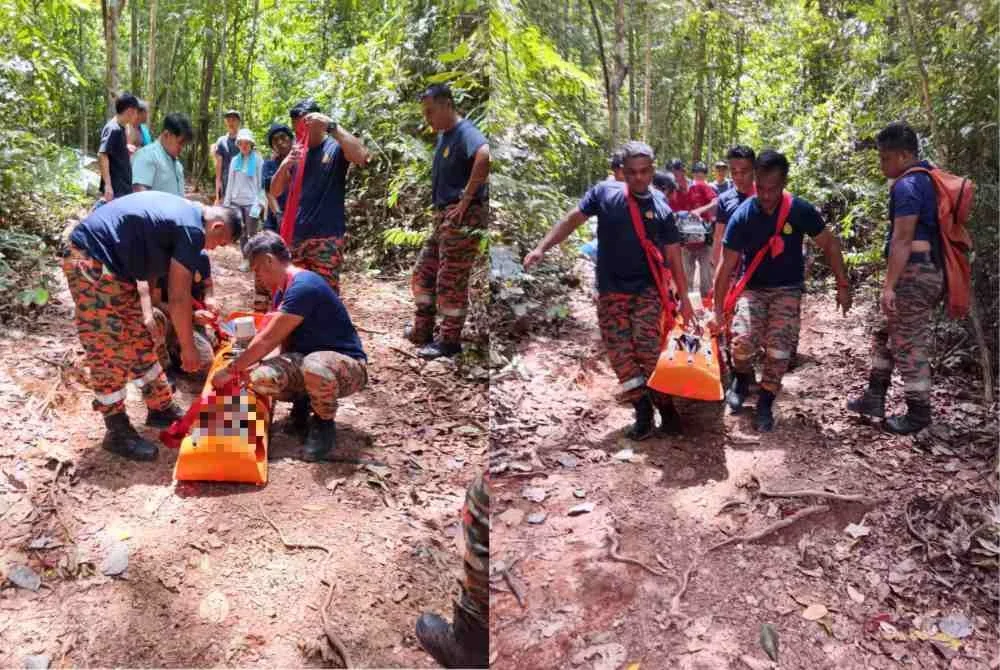 Anggota bomba membawa turun mangsa selepas pengsan dan tidak sedarkan diri di Gunung Lambak, Kluang. Foto JBPM