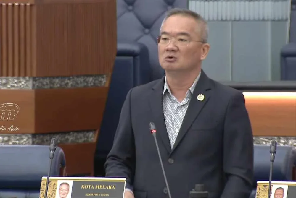 Tangkap layar Poay Tiong semasa dalam Dewan Rakyat pada Selasa