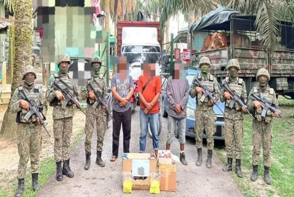 TDM menahan tiga lelaki dan merampas 32 ekor lembu dipercayai diseludup masuk dari Thailand ke negara ini melalui Sungai Golok di Rantau Panjang pada Selasa. FOTO: TDM