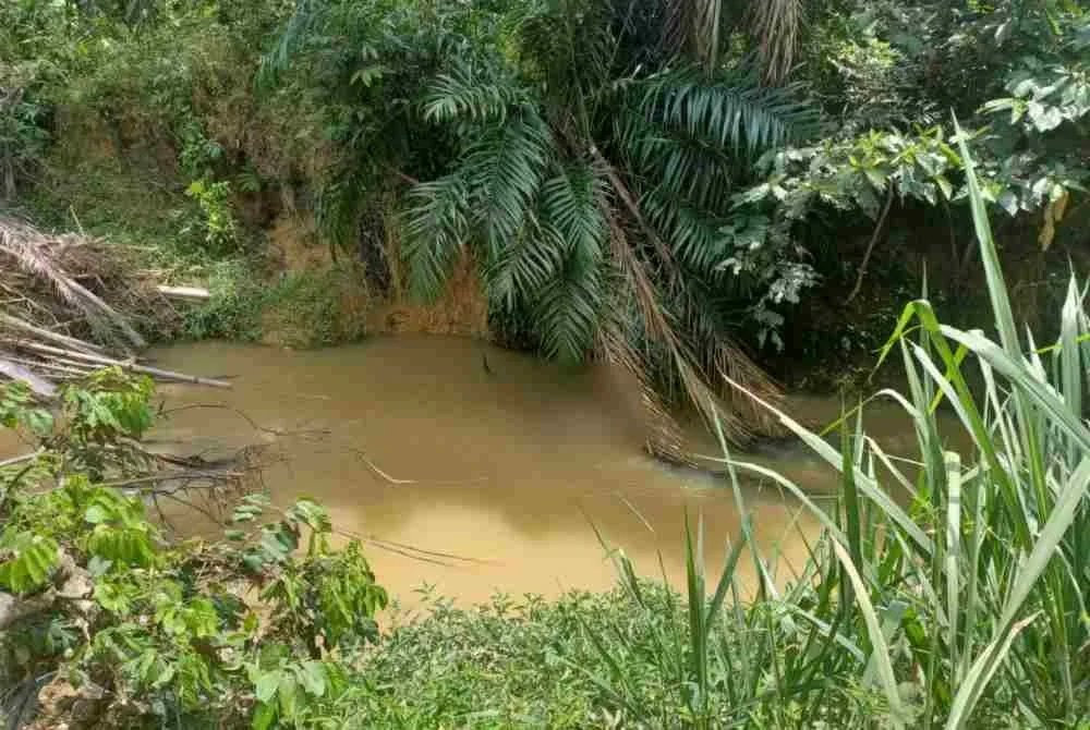 Lokasi mangsa ditemukan tersangkut pada ranting kayu.
