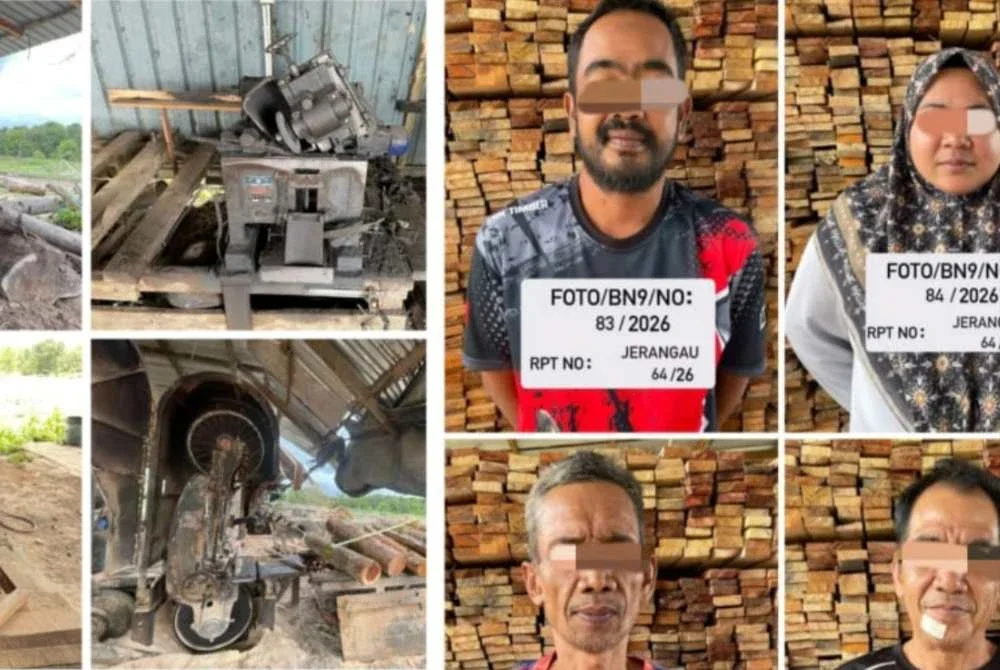 PGA bersama Jabatan Perhutanan membongkar rangkaian jenayah terancang pembalakan haram di Pantai Timur menerusi rampasan keseluruhan mencecah hampir RM8 juta dalam tempoh kurang sebulan.