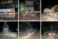 Operasi di bawah Op Bersepadu Khazanah (OBK) dan Op Taring Wawasan Kelantan (OTWK) yang dilaksanakan dari 1 Februari hingga Jumaat menyaksikan pelbagai tangkapan, serbuan serta rampasan besar-besaran melibatkan kenderaan, jentera berat, mesin pemprosesan kayu dan ribuan batang kayu balak serta kayu siap pelbagai spesies.