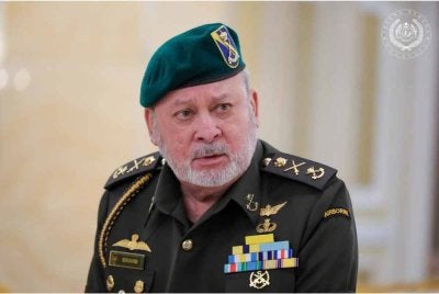 Yang di-Pertuan Agong, Sultan Ibrahim