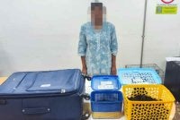 Seorang wanita tempatan ditahan dengan rampasan empat ekor siamang di KLIA Terminal 1, Sepang pada Sabtu. Foto Perhilitan