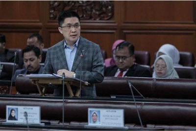 Kah Woh ketika sesi menggulung perbahasan Usul Menjunjung Kasih Titah Diraja Mesyuarat Pertama Penggal Kelima Majlis Parlimen Kelima Belas Dewan Negara di Parlimen. Foto Bernama