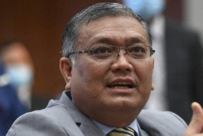 Shamsul Anuar. Foto fail Bernama 