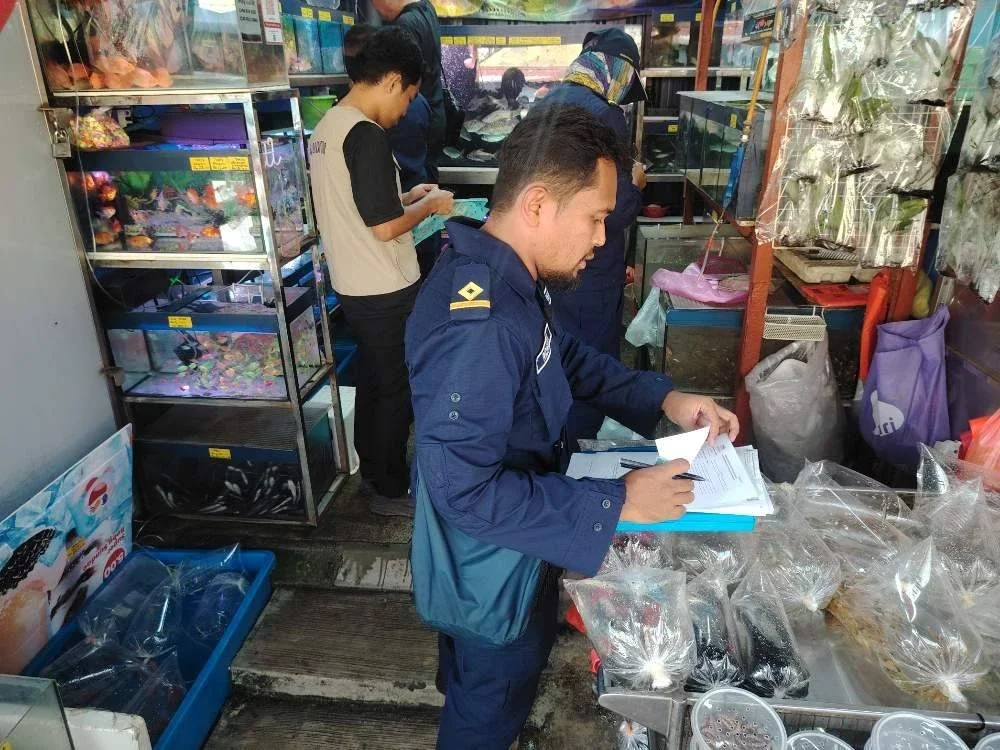Pasukan operasi melaksanakan pemeriksaan ke atas premis yang menjual spesies ikan larangan di Pasar Pudu, Kuala Lumpur pada Khamis.