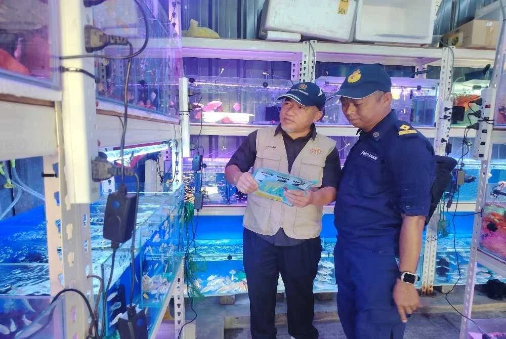 Pasukan operasi melaksanakan pemeriksaan ke atas premis yang menjual spesies ikan larangan di Pasar Pudu, Kuala Lumpur pada Khamis.