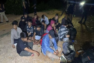 Polis menahan sekumpulan warga asing di kawasan ladang kelapa sawit di Sabak Bernam pada Khamis.
