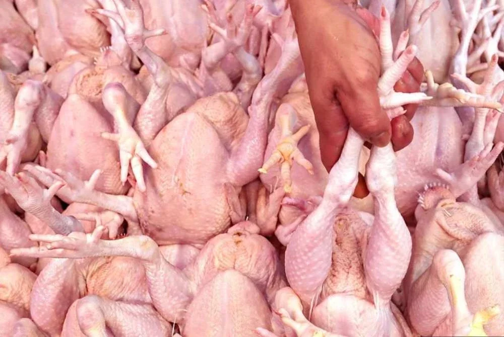 DVS Sabah komited memastikan kestabilan bekalan protein berasaskan ayam serta daging lembu dan kerbau mencukupi bagi menampung permintaan semasa sambutan Aidilfitri.