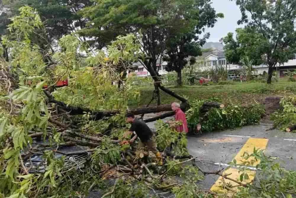 Kejadian melibatkan dua batang pokok tumbang yang menghempap tiga buah kereta iaitu Proton Saga, Proton Persona dan Volkswagen