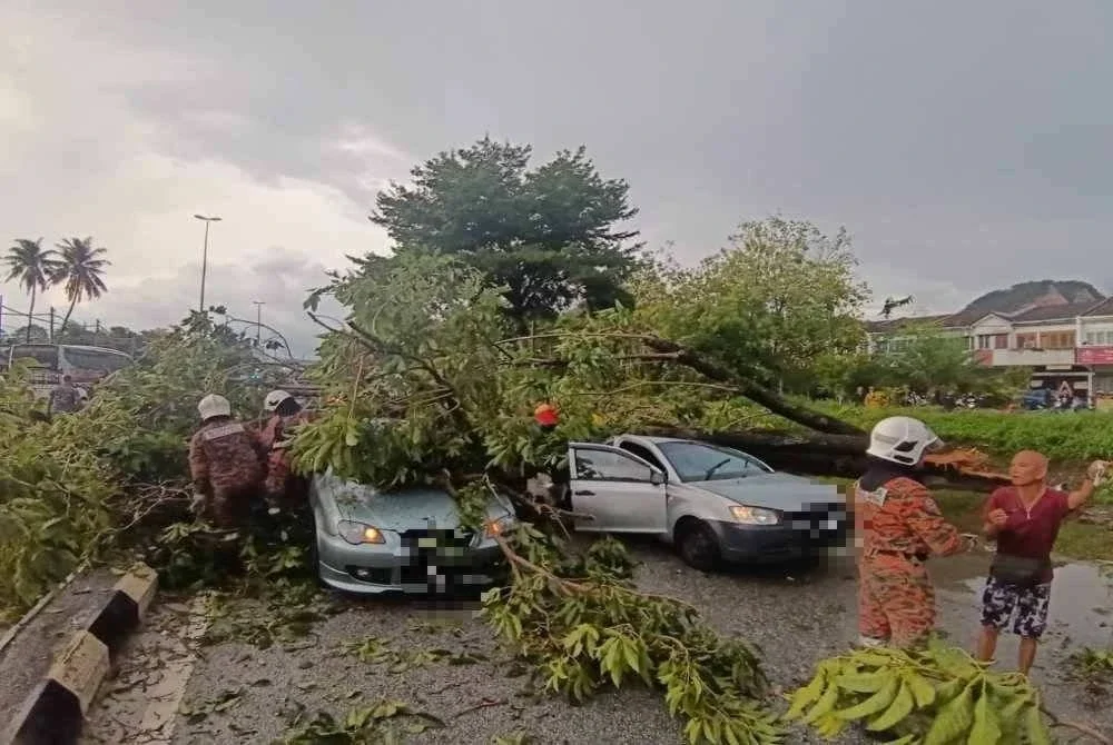 Keadaan kenderaan yang rosak akibat ditimpa pokok tumbang di Taman Bersatu, Simpang Pulai di sini pada Jumaat.