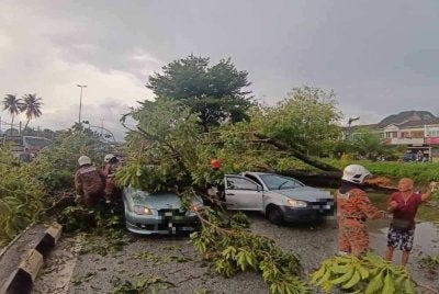 Keadaan kenderaan yang rosak akibat ditimpa pokok tumbang di Taman Bersatu, Simpang Pulai di sini pada Jumaat.