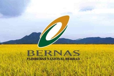 Sebagai pengimport beras negara, BERNAS tidak berperanan menggantikan pengeluaran tempatan.