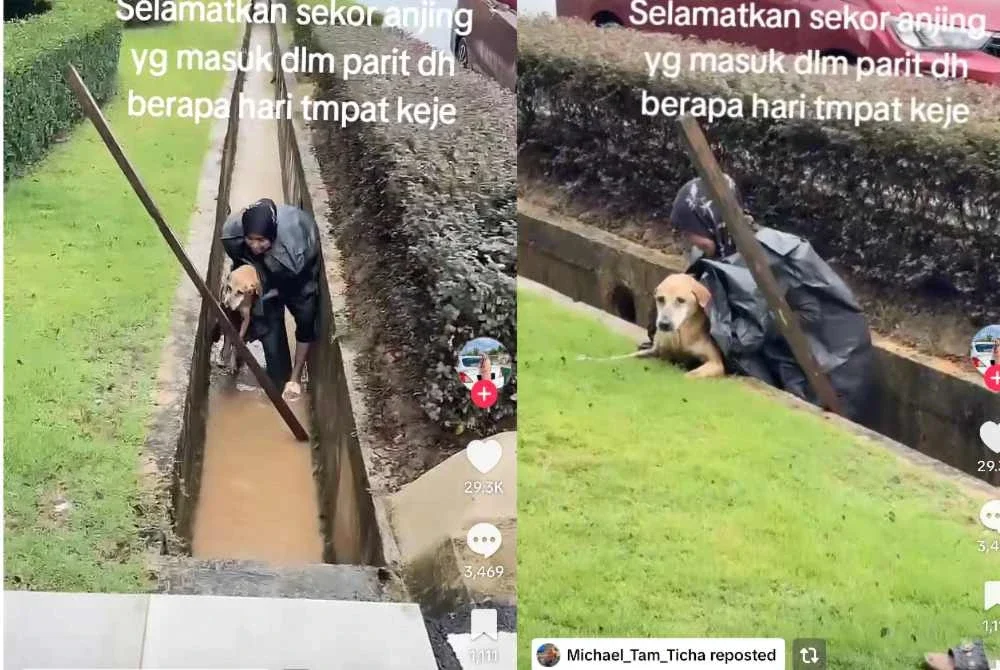 Perkongsian Lieza mendapat ribuan tanda suka dan komen yang menzahirkan penghargaan terhadap tindakan wanita itu.