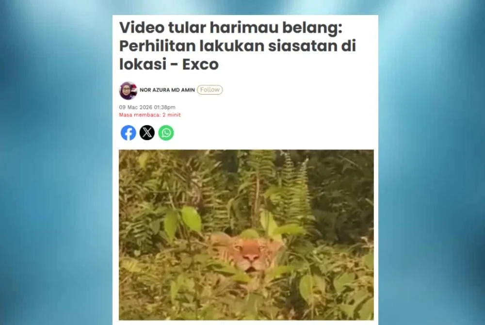 Laporan Sinar Harian sebelum ini mengenai sebuah rakaman video tular memaparkan seekor harimau belang muncul di kawasan semak berhampiran Kampung Rahmat mencetuskan kebimbangan penduduk.