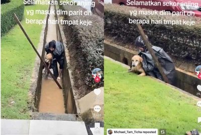 Perkongsian Lieza mendapat ribuan tanda suka dan komen yang menzahirkan penghargaan terhadap tindakan wanita itu.