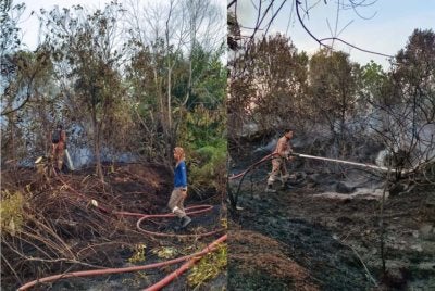 Anggota bomba berjaya memadamkan kira-kira 5.89 hektar atau 20 peratus kebakaran di kawasan lalang dan tanah gambut di Jalan Bypass Punggai, Johor.